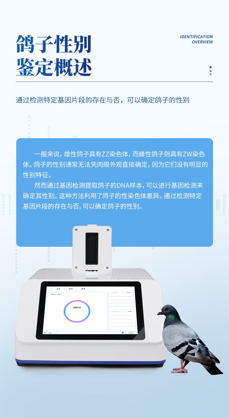 詳情頁_03_790x1440